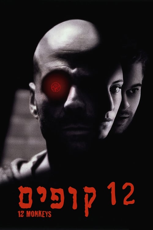 12 קופים לצפייה ישירה