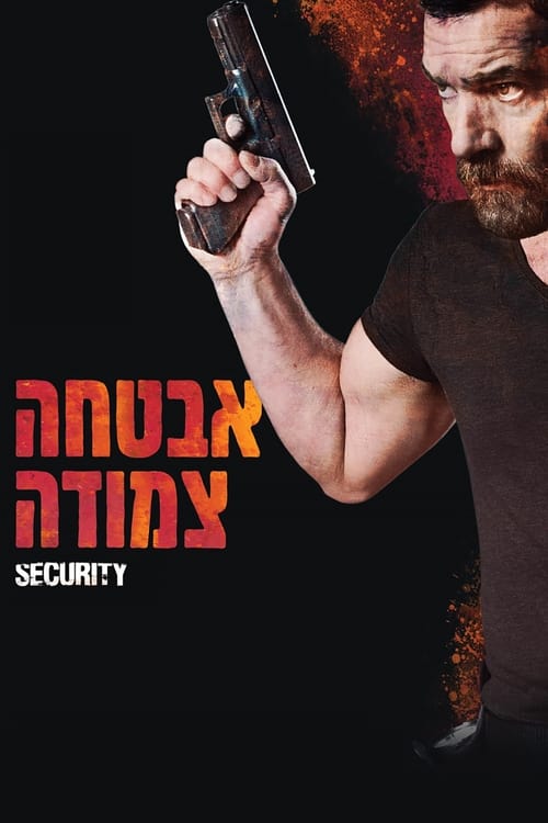 אבטחה צמודה לצפייה ישירה