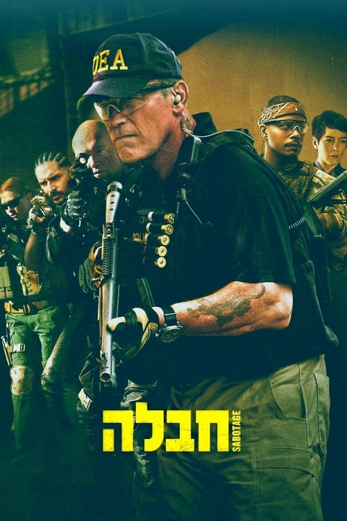 חבלה לצפייה ישירה