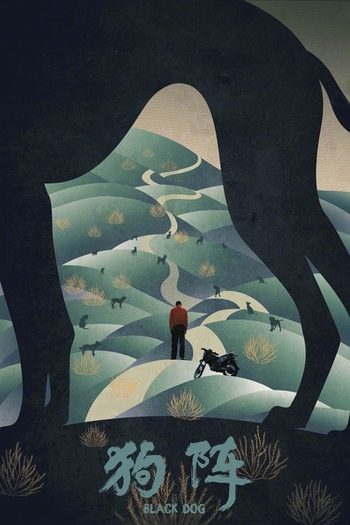 כלב שחור לצפייה ישירה