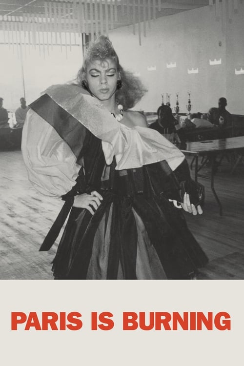 פריז בוערת לצפייה ישירה