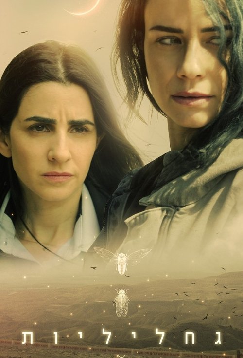 גחליליות לצפייה ישירה