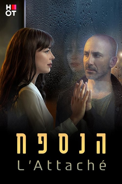הנספח לצפייה ישירה
