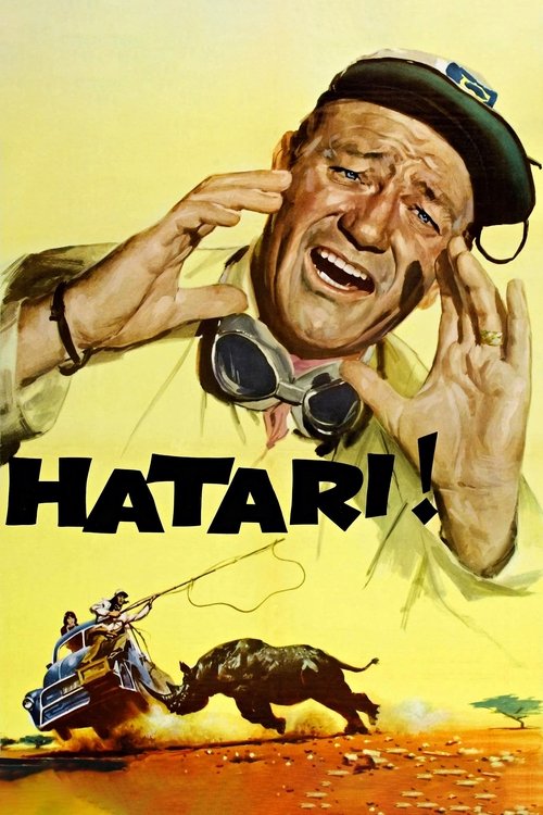 הטארי לצפייה ישירה