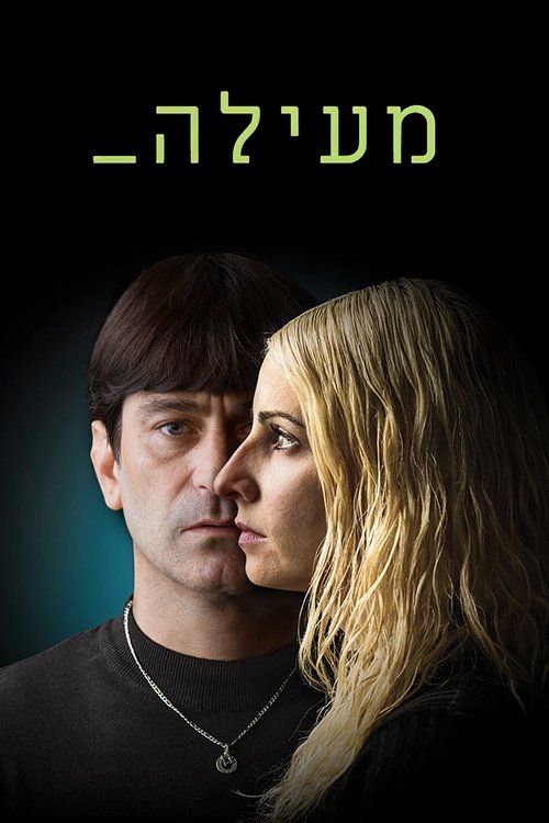 מעילה לצפייה ישירה