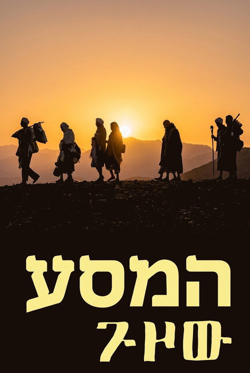 המסע לצפייה ישירה